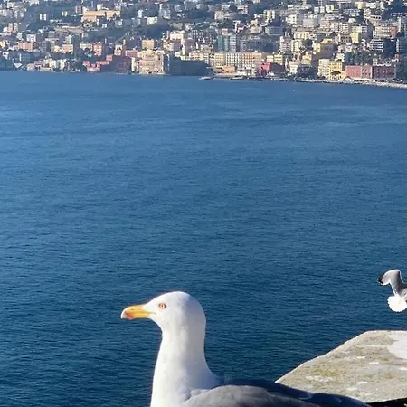 Lejlighed Rooftop In Front Of The Castle Napoli