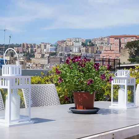 Rooftop In Front Of The Castle *